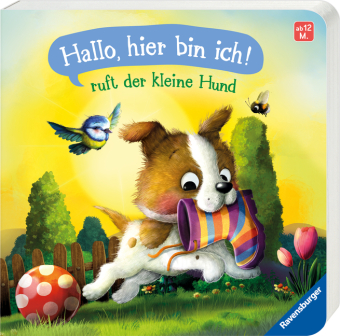 "Hallo, hier bin ich!", ruft der kleine Hund