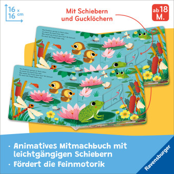 Mein Schiebe-Mitmachbuch - Kleine Tiere