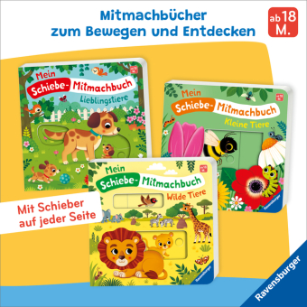 Mein Schiebe-Mitmachbuch - Kleine Tiere
