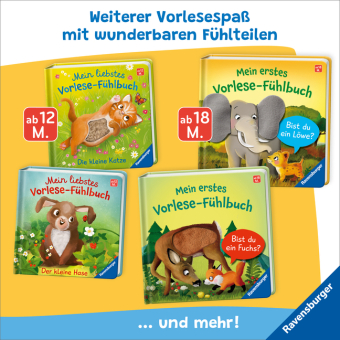 Mein erstes Vorlese-Fühlbuch - Bist du eine Katze? 