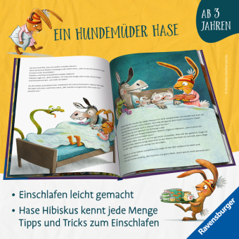 Hase Hibiskus und die (K)Einschlafparty 