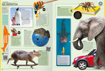 Guinness World Records - 2026