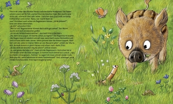 Wie wohnen die Waldtiere? 