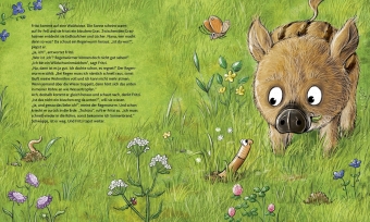 Wie wohnen die Waldtiere? 