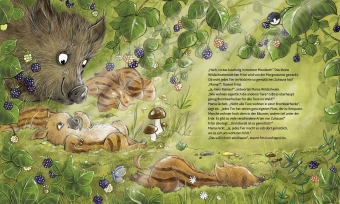 Wie wohnen die Waldtiere? 