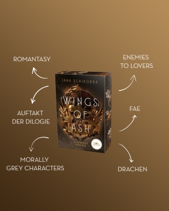 Wings of Ash 1. Schlafende Drachen