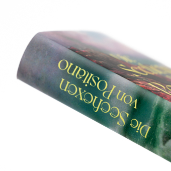 Die Seehexen von Positano 