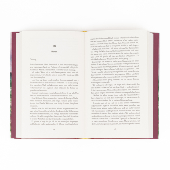 Die Seehexen von Positano 