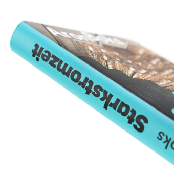 Starkstromzeit. Vom Leben in einem Staat, den es nicht mehr gibt 