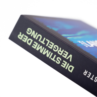 Die Stimme der Vergeltung 