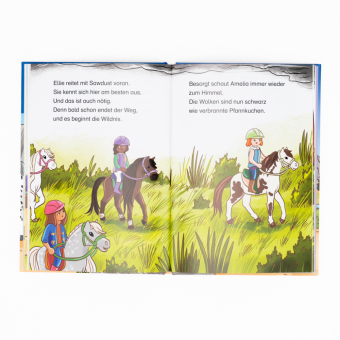 PLAYMOBIL Horses of Waterfall. Ein Fohlen beweist Mut