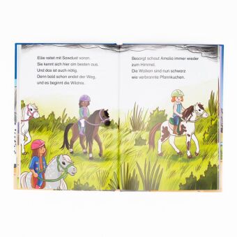 PLAYMOBIL Horses of Waterfall. Ein Fohlen beweist Mut