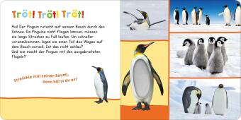 Hör mal rein, wer kann das sein? - Im Winter