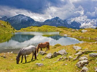 CALVENDO Puzzle Zwei Pferde am Krummschnabelsee in Obertauern | 1000 Teile Lege-Größe 64x48cm Foto-Puzzle für glückliche Stunden