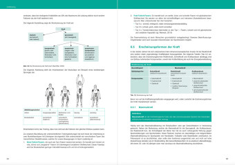 Optimales Basiswissen Sport