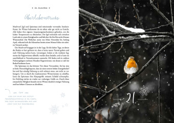 Winter Moments in Nature - der Adventskalender