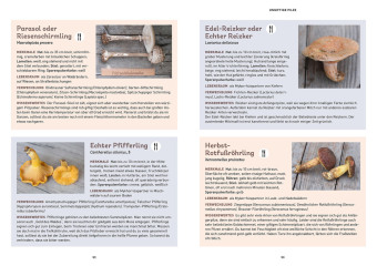 Das Pilzbuch für Kids