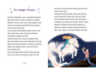 Sternenschweif, 3, Das Zauber-Zebra 