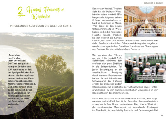 Oberer Mittelrhein und Rheingau - HeimatMomente
