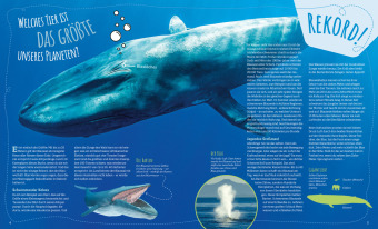 Das große WAS IST WAS Antwortbuch Tierwelt