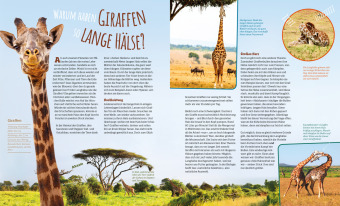 Das große WAS IST WAS Antwortbuch Tierwelt