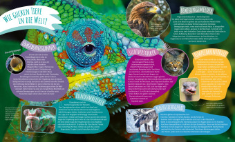Das große WAS IST WAS Antwortbuch Tierwelt