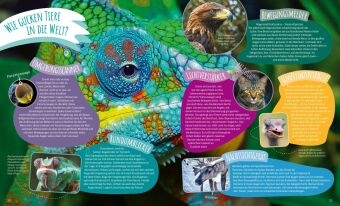 Das große WAS IST WAS Antwortbuch Tierwelt