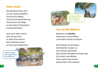 WAS IST WAS Erstes Lesen easy! Tiere in Afrika