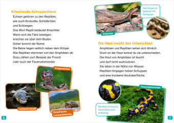 WAS IST WAS Erstes Lesen. Echsen