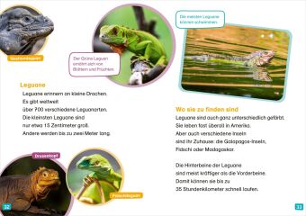 WAS IST WAS Erstes Lesen. Echsen