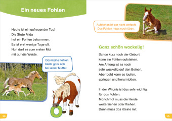 WAS IST WAS Erstes Lesen easy! Komm mit zu den Pferden