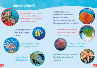 WAS IST WAS Erstes Lesen easy! Tiere im Meer