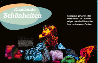 WAS IST WAS Mineralien und Gesteine. Schätze der Natur 