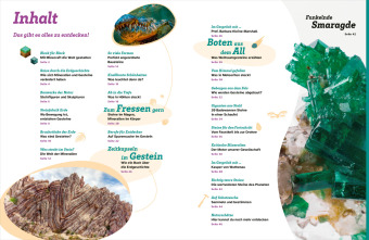 WAS IST WAS Mineralien und Gesteine. Schätze der Natur 