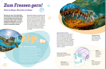 WAS IST WAS Mineralien und Gesteine. Schätze der Natur 