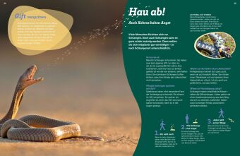 WAS IST WAS Schlangen. Schuppenhaut und Supersinne