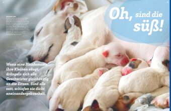 WAS IST WAS Hunde. Auf die Pfoten, fertig, los!