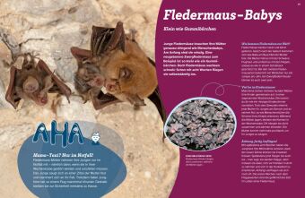 WAS IST WAS Fledermäuse. Flink durch die Nacht