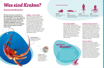 WAS IST WAS Kraken. Acht Arme und drei Herzen 