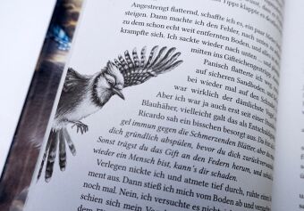 Windwalkers (1). Verborgene Flügel