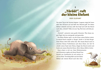 Gute Nacht, kleiner Koala - 20 tierische Einschlafgeschichten