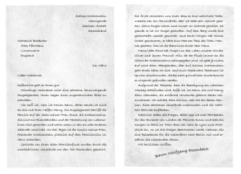 Abenteuer-Express (Band 4) - Gefahr im Mitternachtsexpress 