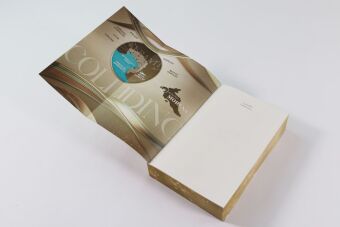 Colliding Hopes (Driven Dreams-Dilogie, Band 2)