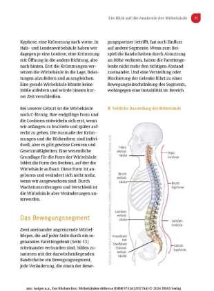 Der Rücken-Doc: Wirbelsäulen-Arthrose