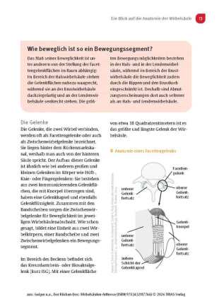 Der Rücken-Doc: Wirbelsäulen-Arthrose