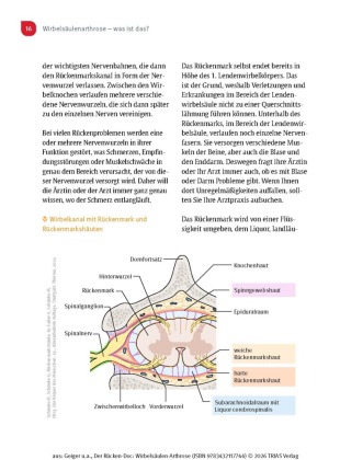 Der Rücken-Doc: Wirbelsäulen-Arthrose