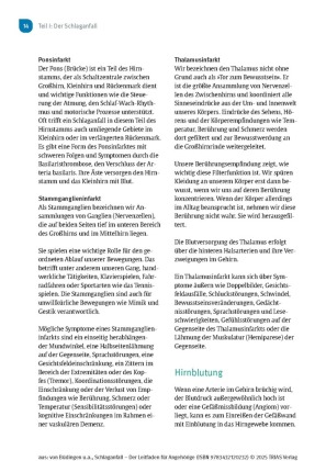Schlaganfall - Der Leitfaden für Angehörige