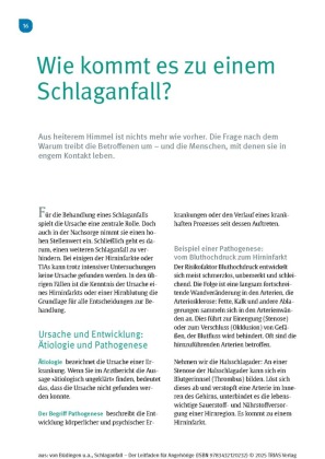 Schlaganfall - Der Leitfaden für Angehörige