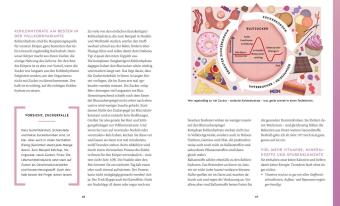 Meine Gesundheitsretter aus der Natur gegen Bauchfett 