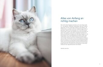 Das große Wohnungskatzen-Wohlfühl-Buch